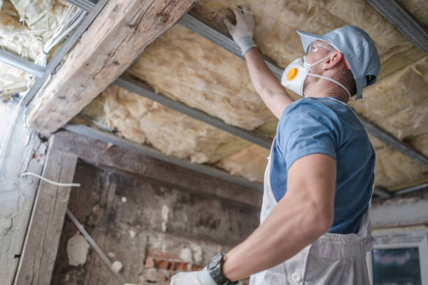 Best Spray Foam Insulation in Little River Academy, TX